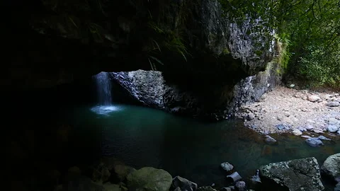 Natural Bridge and waterfall in Springbrook National Park,Queensland,australia Vídeo Stock 140618501