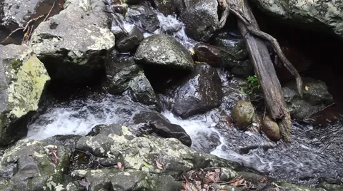 Natural Bridge Cascade Springbrook Australia 6163 1080p h264 動画素材 46171064
