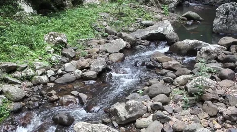 Natural Bridge Cascade Springbrook Australia 6069 1080p h264 Stock Footage 46171239