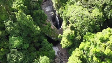 Natural Bridge Springbrook  Stock Footage 247549720