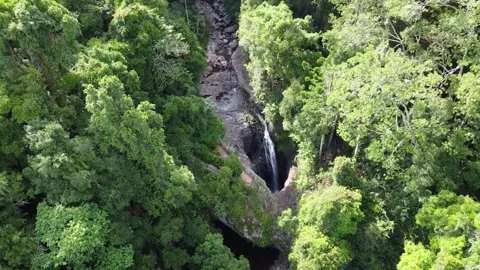 Natural Bridge Springbrook Stock Footage 247549744