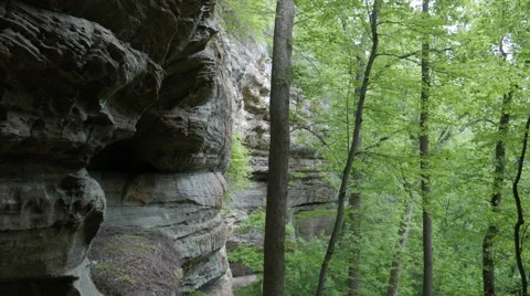 Natural Bridge State Park Devil's Gulch Cliff Wall Stock Footage 66971569