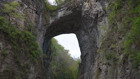 Natural Bridge State Park Stock Footage 321717787