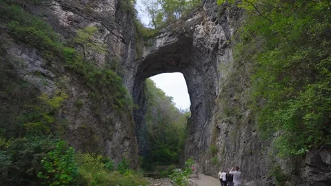 Natural Bridge State Park Stock Footage 321717789