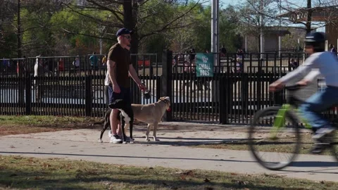 Natural Bridges Caverns 스톡 동영상 132016581