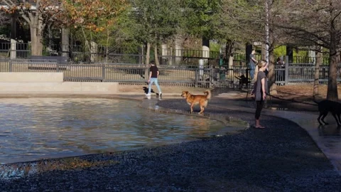 Natural Bridges Caverns 스톡 동영상 132016604