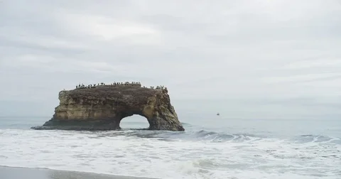 Natural Bridges State Beach in Santa Cruz, California. Stock Footage 81620103