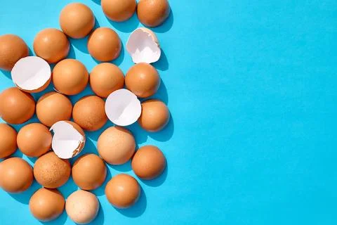 Natural brown hen eggshells on blue background. Creative minimal abstract E.. Stock Photos