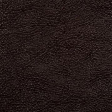 Natural brown leather texture. Stock Photos