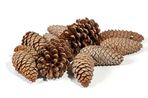 Natural Brown Pine Cone Patterns and Textures Stock Photos