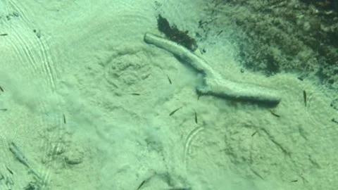 Natural bubbling spring Stock Footage 255341604