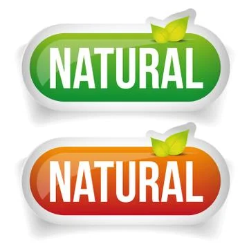 Natural Button green with leaf Stock Illustration