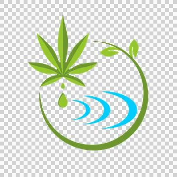 Natural cannabis leaf logo Stock Illustration