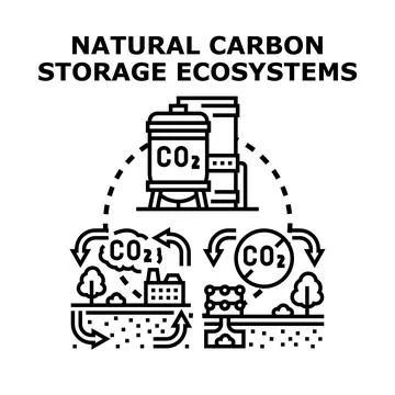 Natural carbon storage ecosystem cycle concept Illustrazione stock