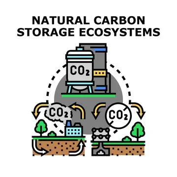 Natural carbon storage ecosystem cycle concept Stock Illustration