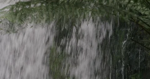 Natural Cascade Water Flowing With Trees Video stock 330637807