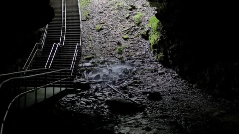 Natural Cave Entrance at Mammoth Cave National Park Stock Footage 78021653