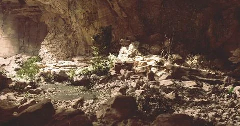 Natural cave interior with vegetation and rocky terrain illuminated softly Stock Illustration