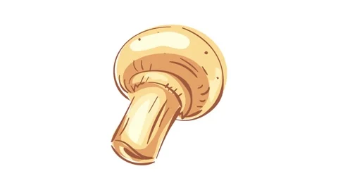 Natural champignon icon animation Stock Footage 152556304