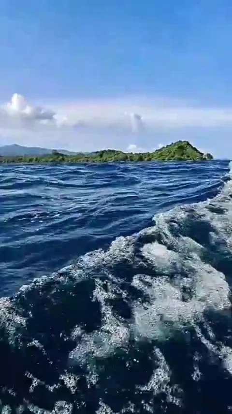 The natural charm of the sea Stock Footage 223570102