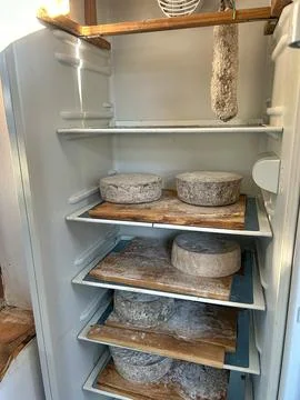 Natural cheeses Stock Photos
