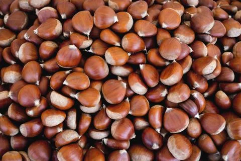 Natural chestnuts Fotos de archivo