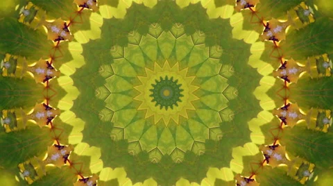 Natural circle animated kaleidoscopic texture with colorful foliage. 库存影片 57684372