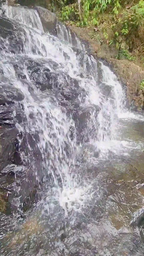 Natural clean water flows over geopark rocks which are the result of wood aging Stock Footage 327771813
