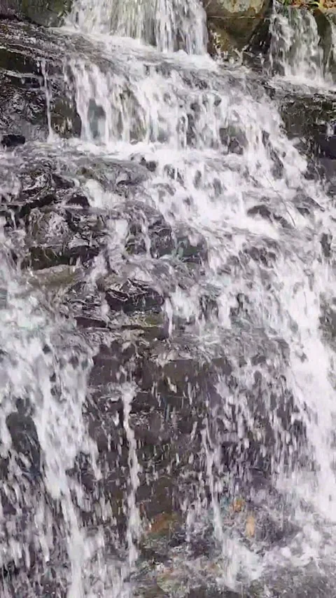 Natural clean water flows over geopark rocks which are the result of wood aging Stock Footage 327771862