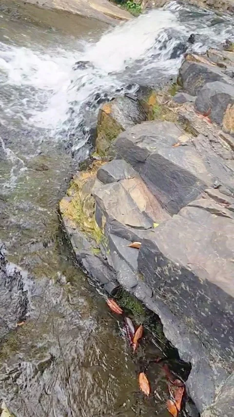 Natural clean water flows over geopark rocks which are the result of wood aging Stock Footage 327771868