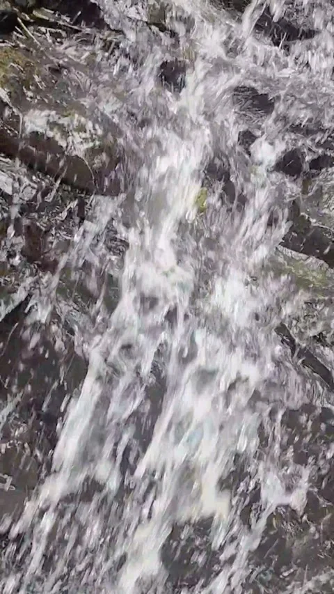 Natural clean water flows over geopark rocks which are the result of wood aging Stock Footage 327771874