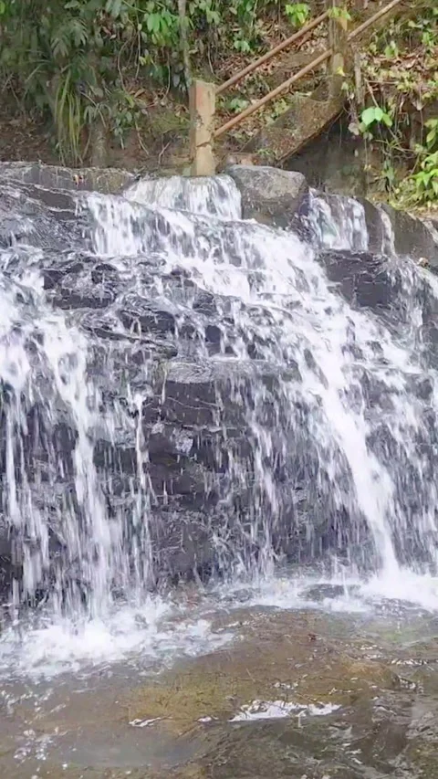 Natural clean water flows over geopark rocks which are the result of wood aging Stock Footage 327772347