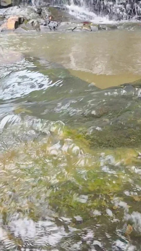 Natural clean water flows over geopark rocks which are the result of wood aging Stock Footage 327773337