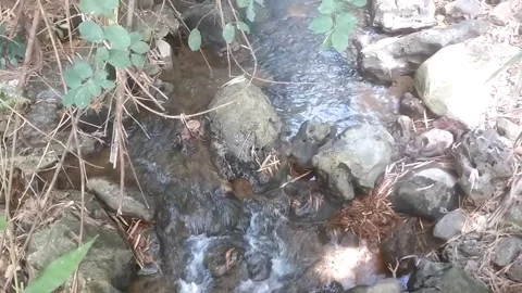 Natural Clear Water Stream Flowing Over Stones 스톡 동영상 334836779