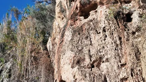 Natural Cliff Wall With Wild Grass Vertical Stock Footage 337068723