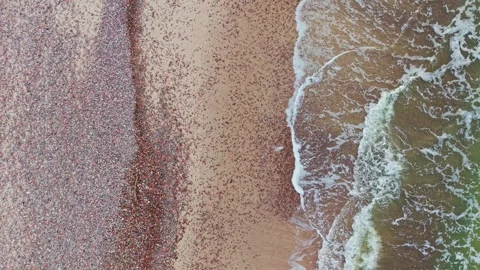 Natural coastal patterns shaped by waves pebbles and sandy beach Stock Footage 340257154
