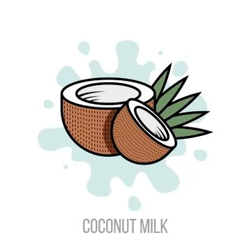 Natural coconut milk. Vector flat illustration. Coconut tropical nut fruit wi Stockillustratie