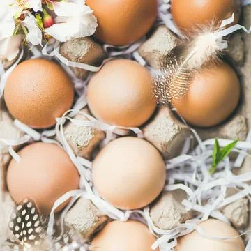 Natural colored eggs for Easter in box, close-up, square crop Stock Photos