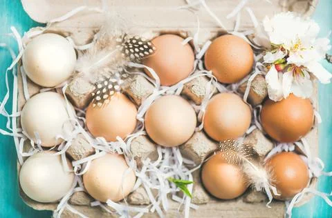 Natural colored eggs for Easter in box, blue background, close-up Stock Photos