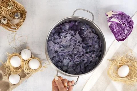 Natural coloring Easter eggs in blue color with red cabbage leaves. Foto stock