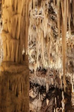 Natural columns Stock Photos