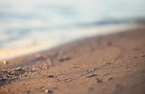 Natural composition as a background Stock Photos