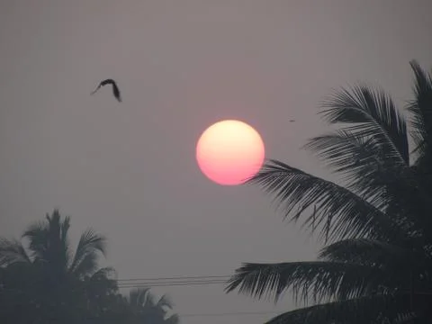 Natural composition Stockfoto's