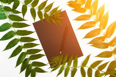 Natural composition with sketchbook and pencils on white table, decorated with Stock Photos