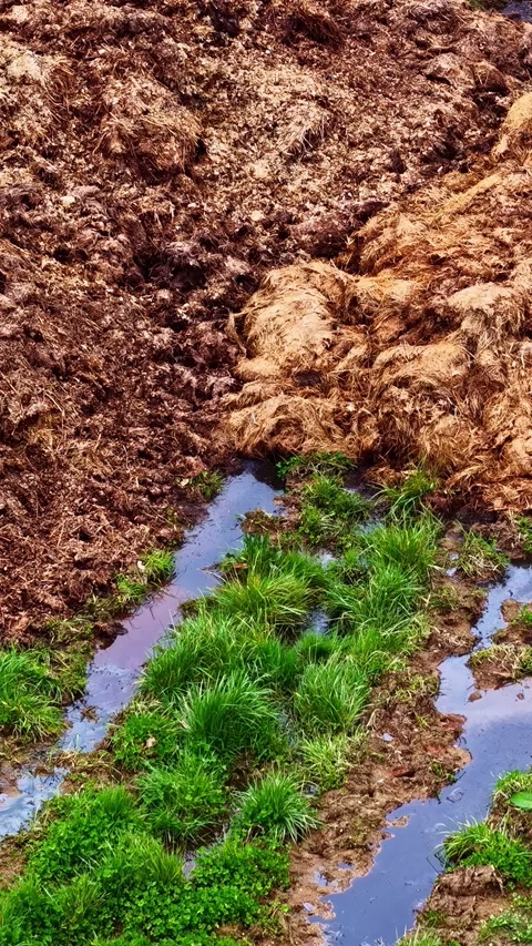 Natural compost pile mixture, standing water, and fresh turf, vertical Stock Footage 335882837