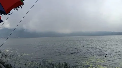 Natural cool breeze Stock Footage 239596035