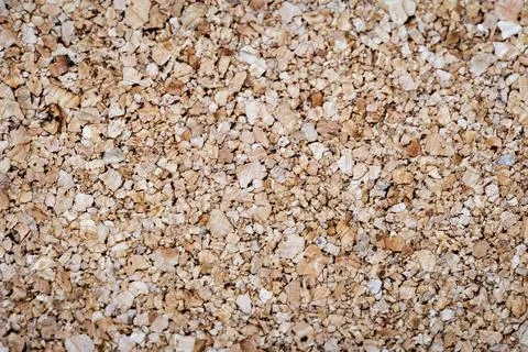Natural Cork Texture Background in Macro with Detailed Organic Surface Stock Photos