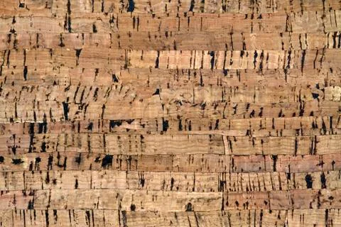 Natural cork texture. Stock Photos