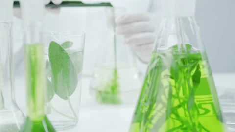  Natural cosmetics production.  Stock Footage 144013623