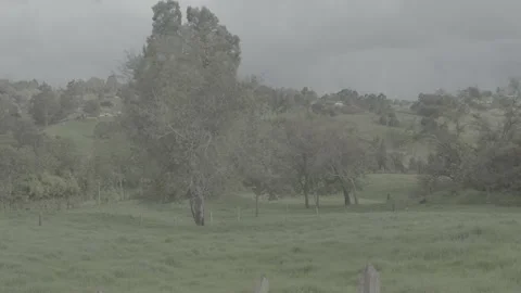 Natural country paradise Stock Footage 220525907